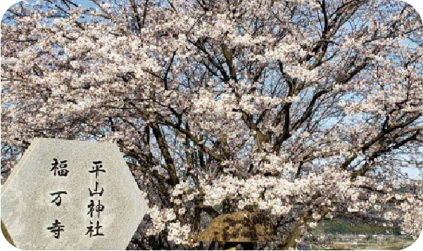 福万寺町市民公園