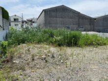 池島分譲地内の草刈りをしました！